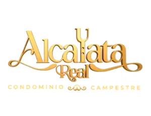 Caso de éxito de marketing inmobiliario para Alcayata Real en Popayán por MAD Agencia de marketing digital inmobiliario
