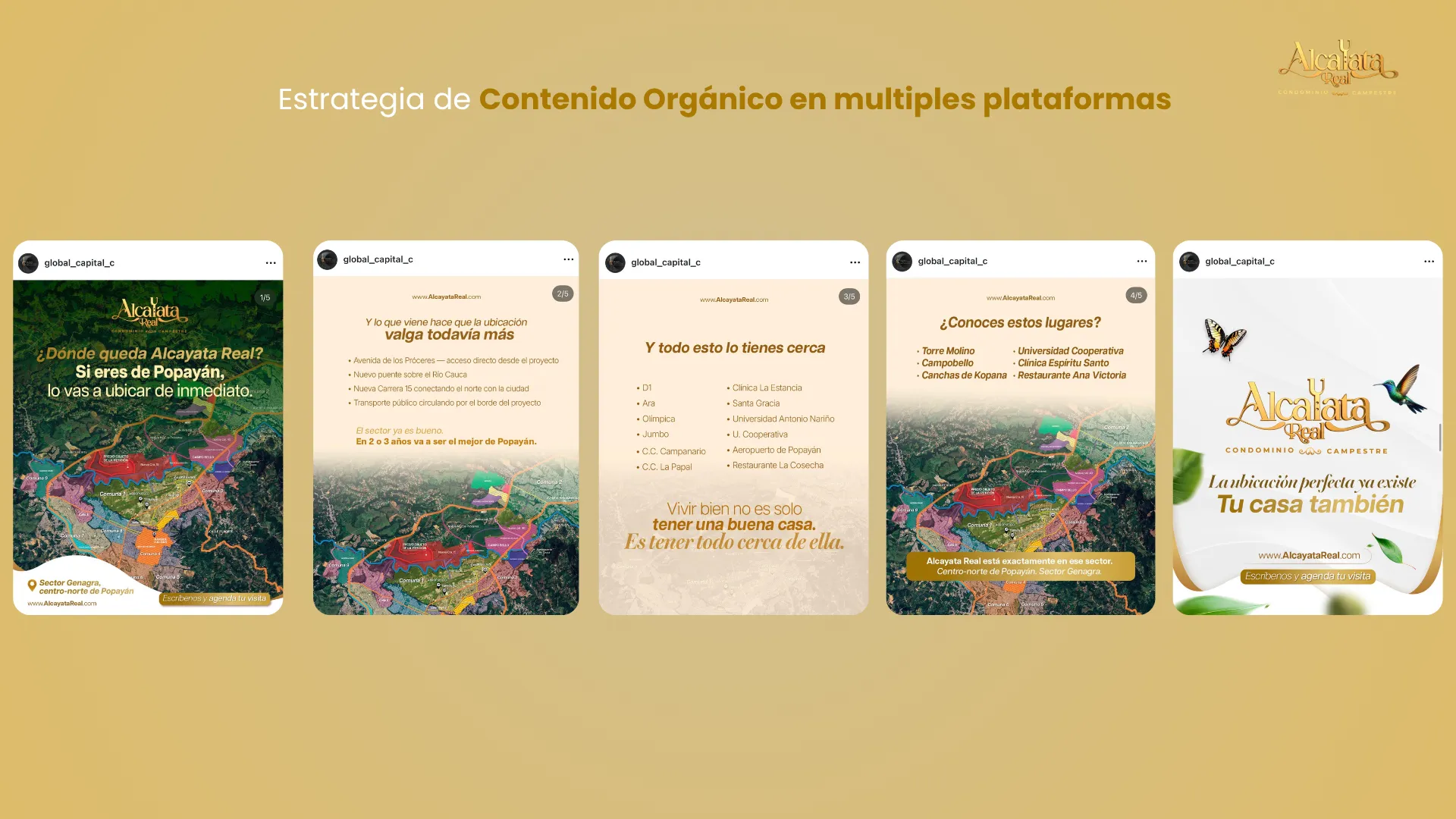 Caso de éxito de marketing inmobiliario para Alcayata Real en Popayán por MAD Agencia de marketing digital inmobiliario